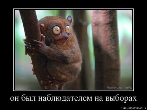 Наблюдатель на выборах