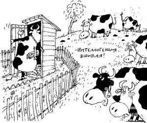 Культура Культура