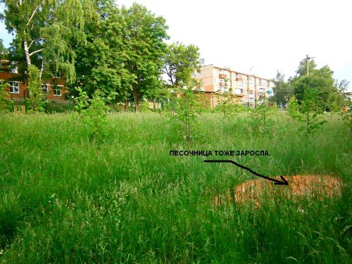 ЗАРОСЛИ ГУСТОЙ ТРАВОЙ КУЦУРОВСКИЕН ЛИПЫ ЗАРОСЛИ ГУСТОЙ ТРАВОЙ КУЦУРОВСКИЕН ЛИПЫ